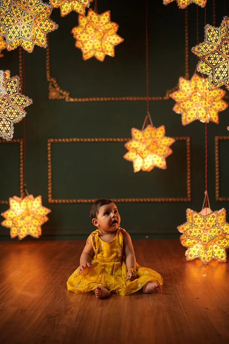 Basant Sleeveless Infant Pleated dress
