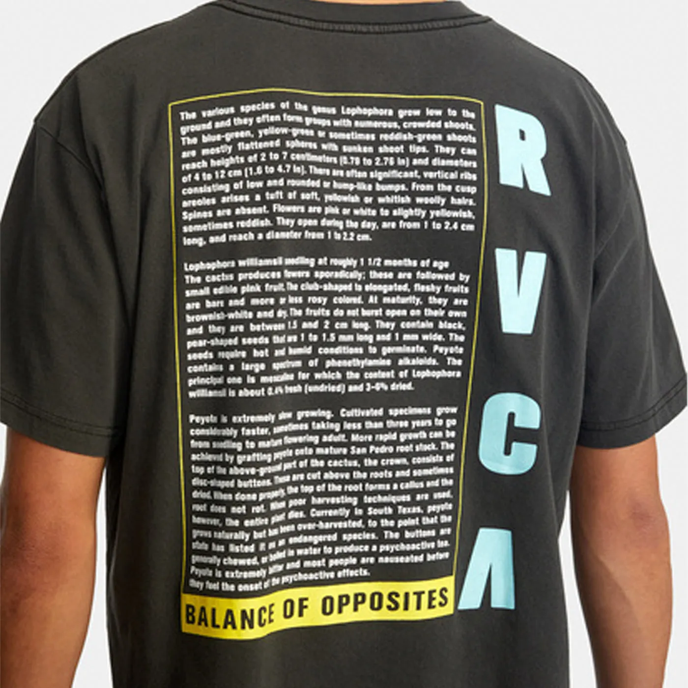 RVCA | Lophophora Tee