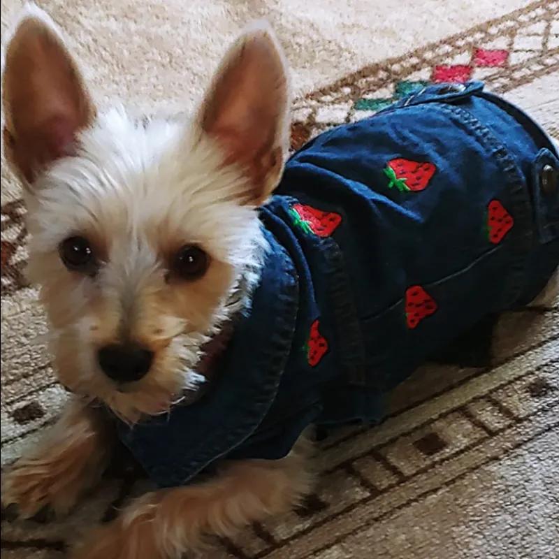 Sweet Strawberry Denim Jacket